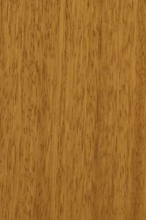 Iroko